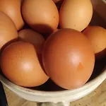 Bed & Breakfast Erbetta *