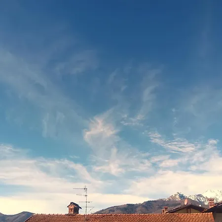 Erbetta * Guardabosone