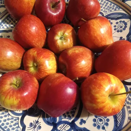 Erbetta Alojamento de Acomodação e Pequeno-almoço *