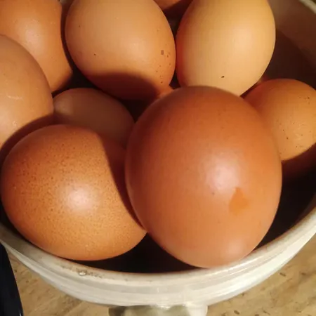 Alojamento de Acomodação e Pequeno-almoço Erbetta *