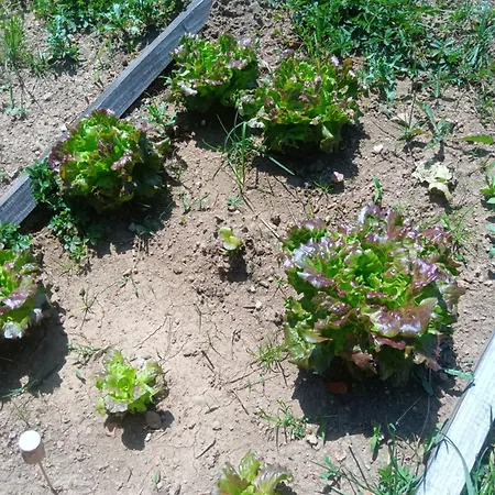 Erbetta Bed & Breakfast