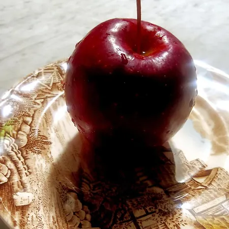 Erbetta Guardabosone