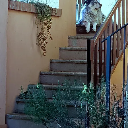 Alojamento de Acomodação e Pequeno-almoço Erbetta