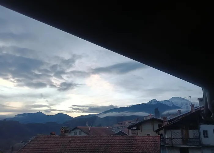 Erbetta * Guardabosone