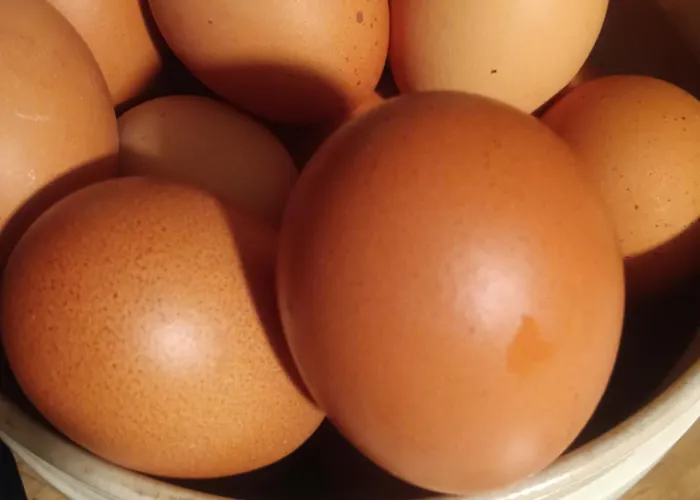 Bed & Breakfast Erbetta *