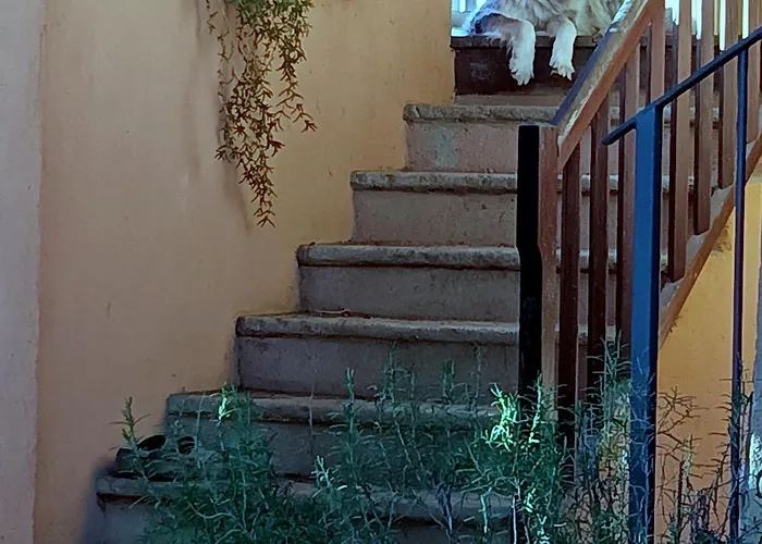 Bed & Breakfast Erbetta