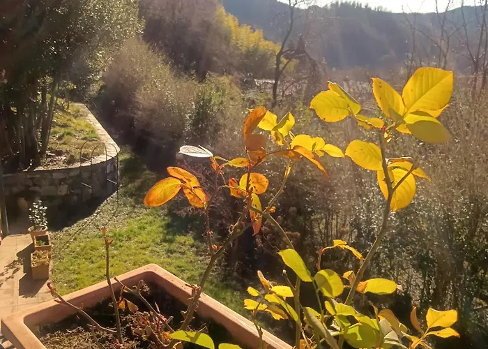 Erbetta Bed & Breakfast Guardabosone